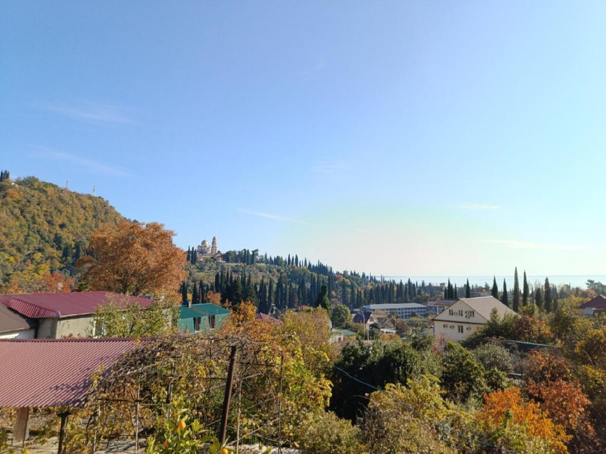 Inzhir Guest House New Athos ภายนอก รูปภาพ
