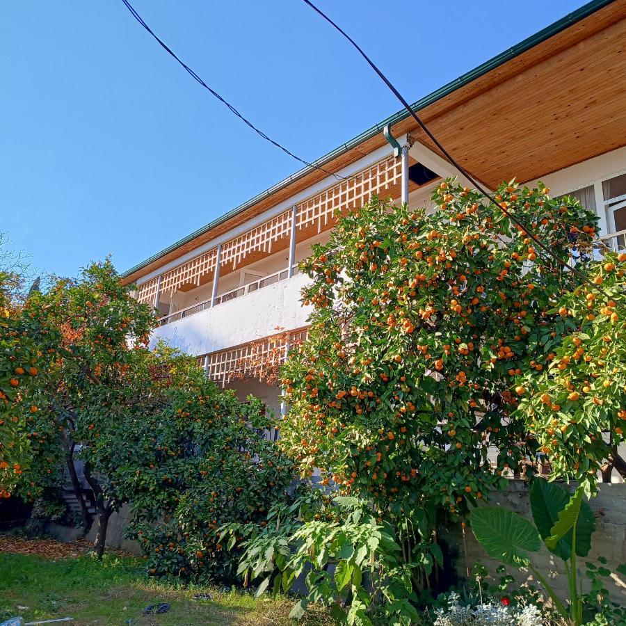 Inzhir Guest House New Athos ภายนอก รูปภาพ